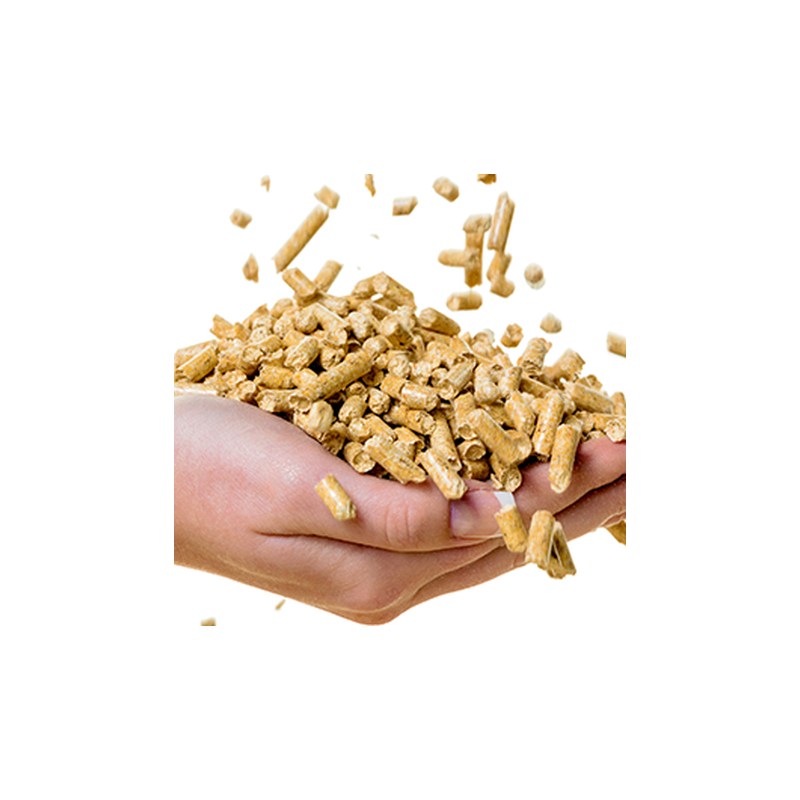 Conseiller son client sur les combustibles Granulés de bois : de la forêt au consommateur (niveau Expert)