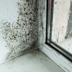 Repérer, traiter les pathologies des systèmes de ventilation dans l’existant : conseils et recommandations