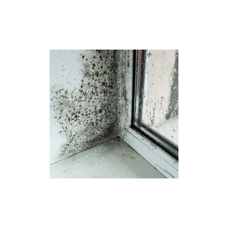 Repérer, traiter les pathologies des systèmes de ventilation dans l’existant : conseils et recommandations